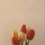 wotoの画像