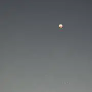 しゅん