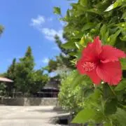sea.all.blueシーオールブルーの画像