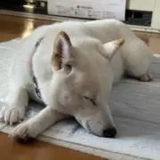 しおねの画像