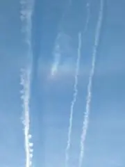 こまのの画像