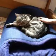 みぃmama♪