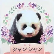 ヒロ　⚠️発送は平日になります！の画像