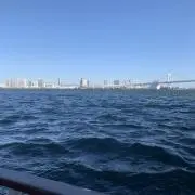 秋葉の画像