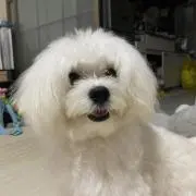 まるの画像