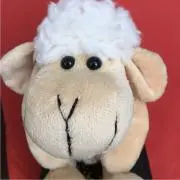 marooの画像