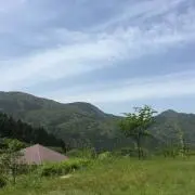 まぁぁぁあの画像