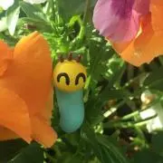 こっぺぱんの画像