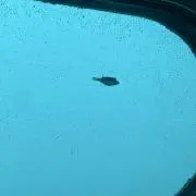 そっとり