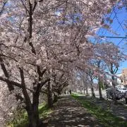 なかむらの画像