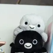 Aの画像