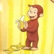 yappyの画像