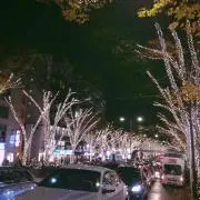 ベルベットの画像