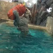 Image of chika@