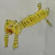 suiの画像