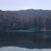 ゆかり