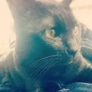 elle