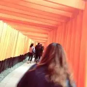 いちこ