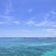 お値下げ交渉のります⚠️