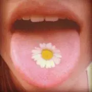 Nontanの画像