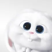 るる｜即購入OKの画像