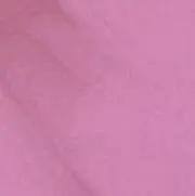 Rちゃんの画像