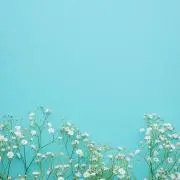 keiの画像
