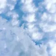 ell