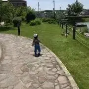 なおちゃん