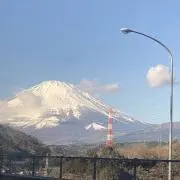 LY2009の画像