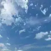 nacoの画像