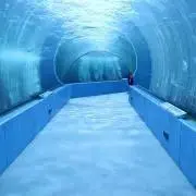 ま　プロフ必読の画像