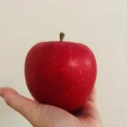 Ichiの画像