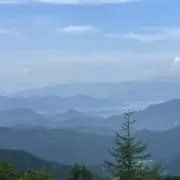 BGSLの画像