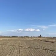 JUJUの画像