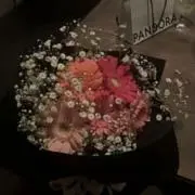©︎