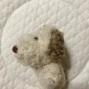 andyの画像