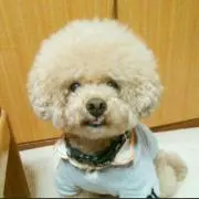 かおの画像