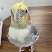 ゆあ