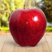 アダムの画像