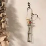 dry flowerの画像