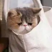 ymの画像