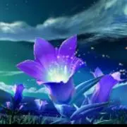 夜