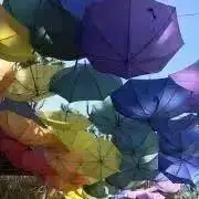 nunnun401の画像