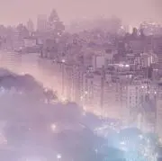 ゆきんこの画像
