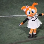 みんみんの画像