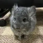 ゆいふぁ⭐︎プロフご確認お願いしますの画像