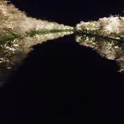 バターサンドの画像
