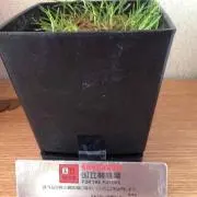 しゅうすけ