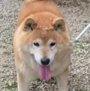 虹色あさっぺ＊プロフ必見☀色々出品中の画像
